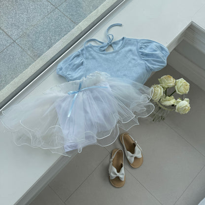 [PRE-ORDER] Ribbon tulle skirt