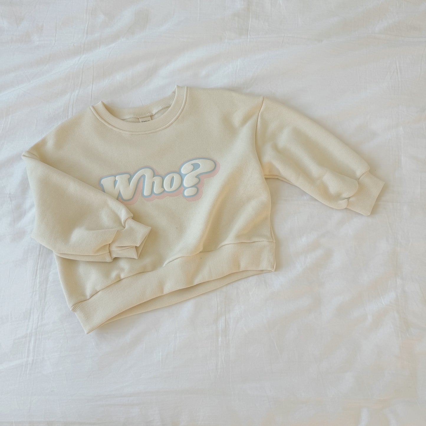 [PRE-ORDER] Who sweatshirt