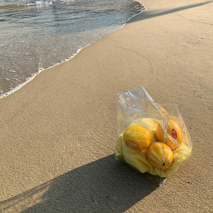 여름 해변 가방